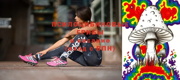 apvp Касимов