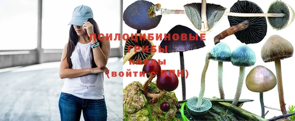 apvp Касимов