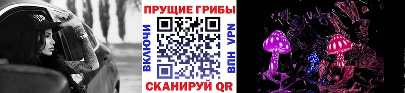 Купить где  Добрянка  Галлюциногенные грибы мицелий 